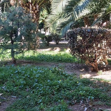 דירות מאלגה Del Parque Flats Urban Life מראה חיצוני תמונה